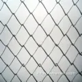 Fence a catena (zincato e rivestito in PVC)